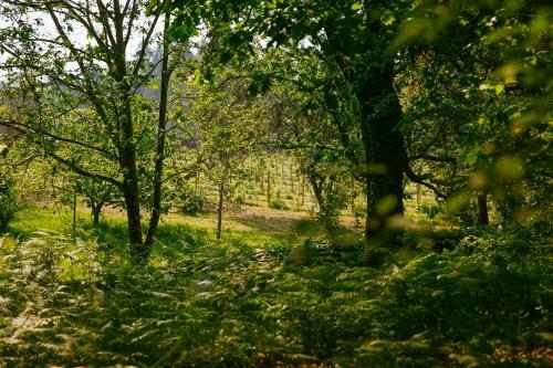 Hostal Quinta Da Bouca D'arques