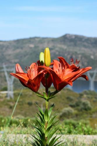 Agroturismo Douro Natura