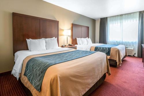 Hotel Comfort Inn Lacey