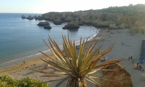 Bed & Breakfast Albergaria Vila Lido