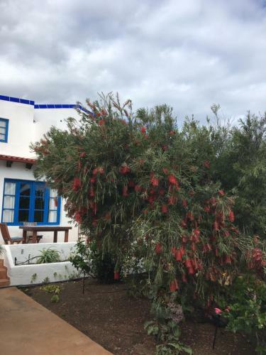 Apartamentos Villa Marina