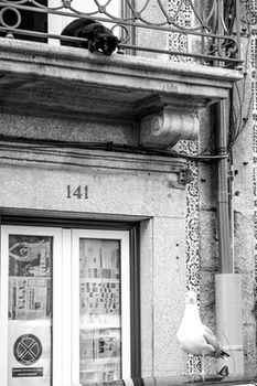 Hostal Yours Guesthouse Porto