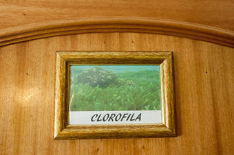 Ericeira Chill Hill Hostel & Private Rooms