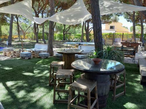 Quinta Vita - Vila Limao