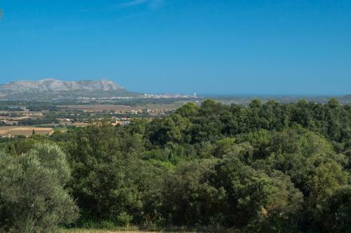 Villa Costabravaforrent Carri�