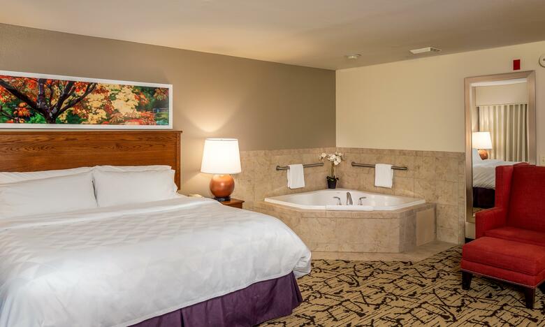 Hotel Holiday Inn Stevens Point - Convention Center