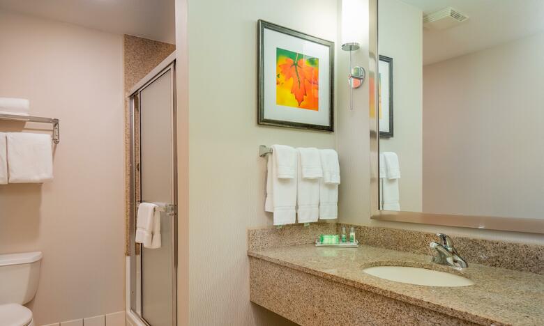 Hotel Holiday Inn Stevens Point - Convention Center