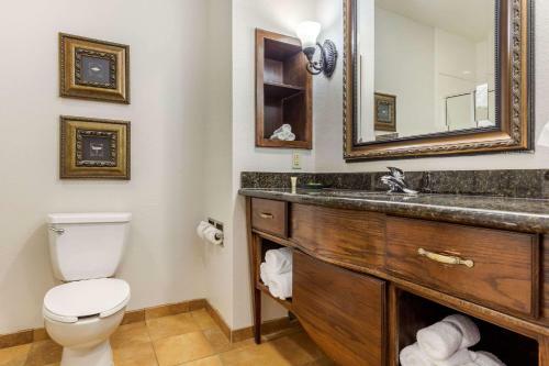 Holiday Inn Express Hotel & Suites Sulphur Springs