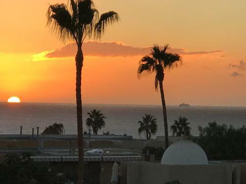 Apartments In Tenerife