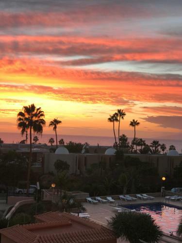 Apartments In Tenerife