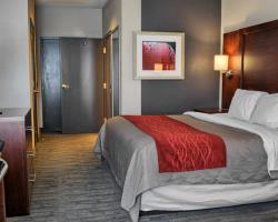 Hotel Comfort Inn - Ruther Glen