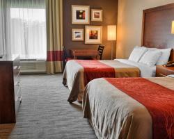 Hotel Comfort Inn - Ruther Glen