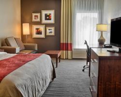 Hotel Comfort Inn - Ruther Glen