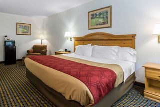 Motel Econo Lodge Havelock