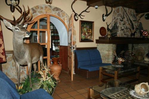 Hotel Mirasierra