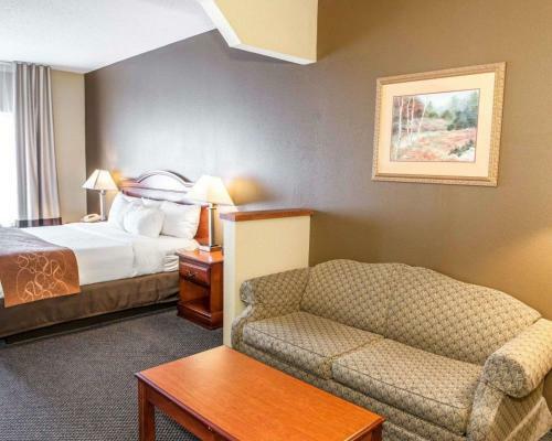 Hotel Comfort Suites Auburn