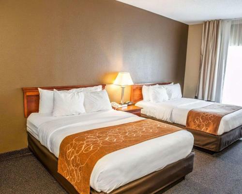 Hotel Comfort Suites Auburn