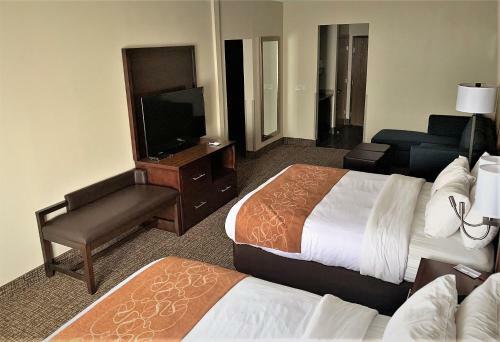 Hotel Comfort Suites Auburn