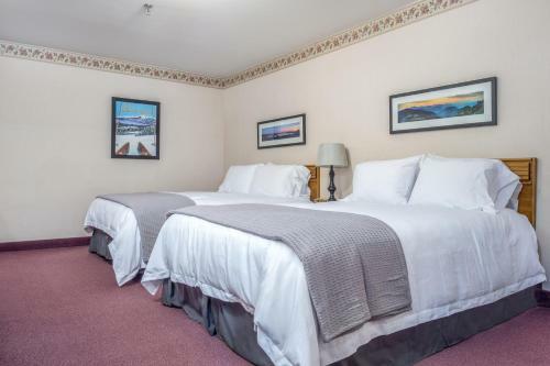 Norseman Inn And Motel