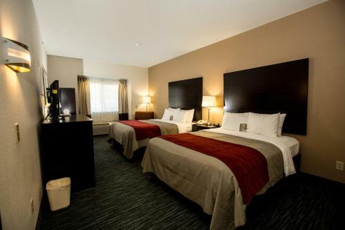 Hotel Comfort Inn Mount Airy