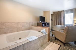 Hotel Quality Inn & Suites Decorah