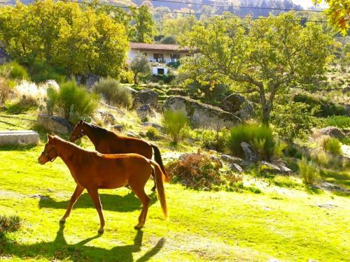 Agroturismo Quinta Do Marvao