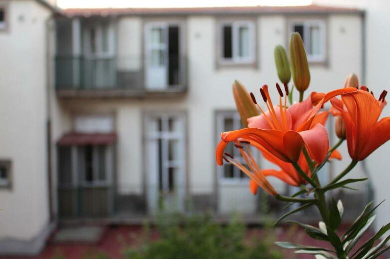 Hostal Guest House Solar