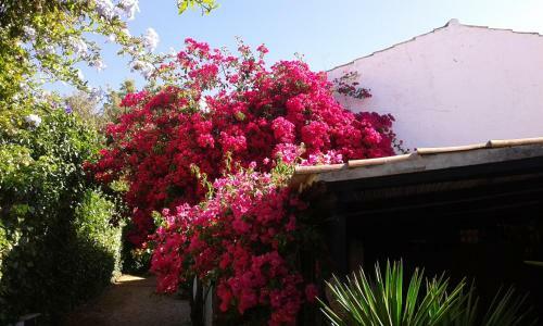 Villa Quinta Das Flores