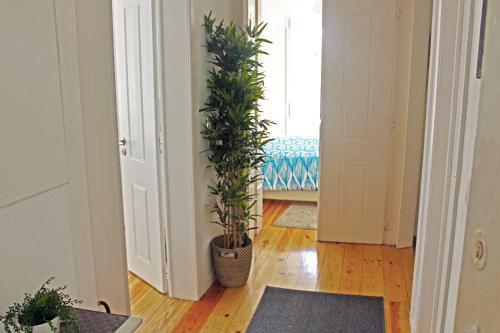 Blue Budget Apartments Bairro Alto
