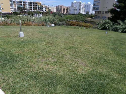 Apartamento Rocha Tower By Beach Rentals