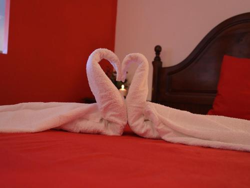 Apartamentos Serra Da Estrela