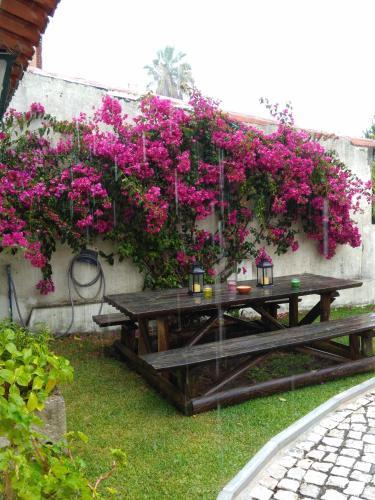 Bed & Breakfast Pegada Real