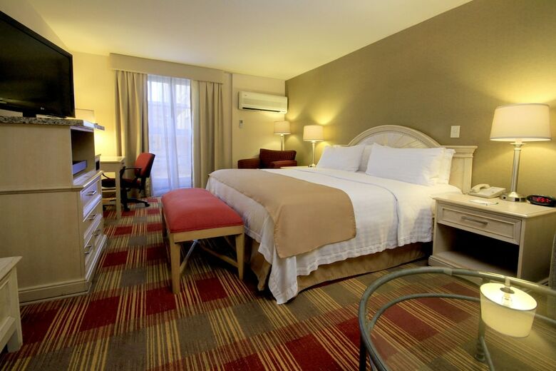 Hotel Holiday Inn Monclova