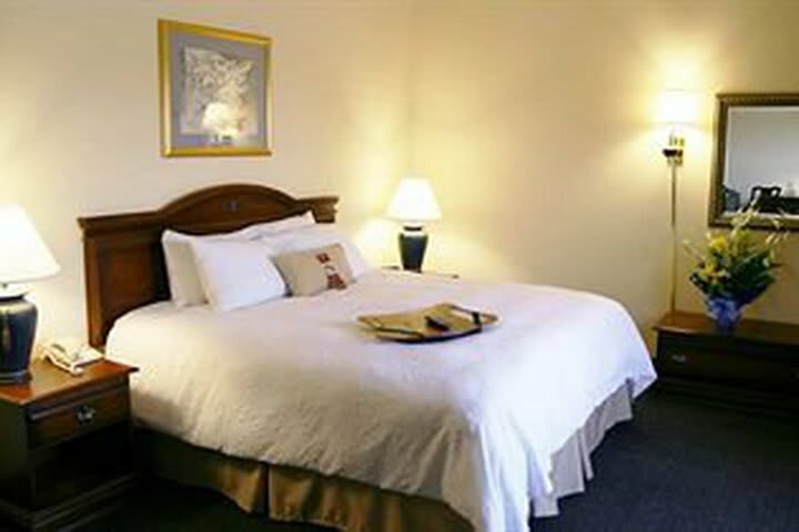 Hotel Hampton Inn Williamston