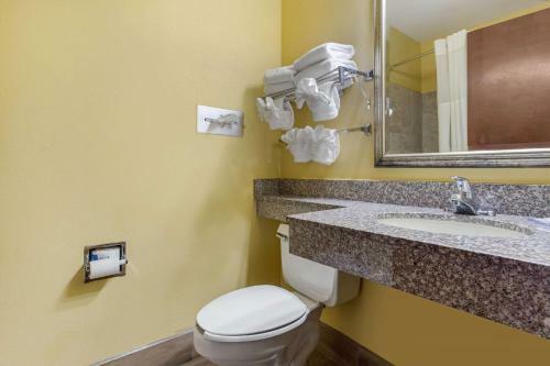 Hotel Econo Lodge Williamston