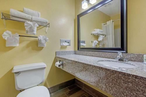 Hotel Econo Lodge Williamston