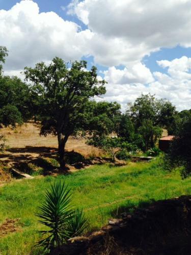 Agroturismo Olival Das Hortas