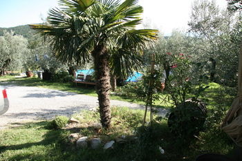 Bed & Breakfast Poggio Alla Pieve