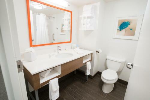 Hotel Hampton Inn Clarks Summit