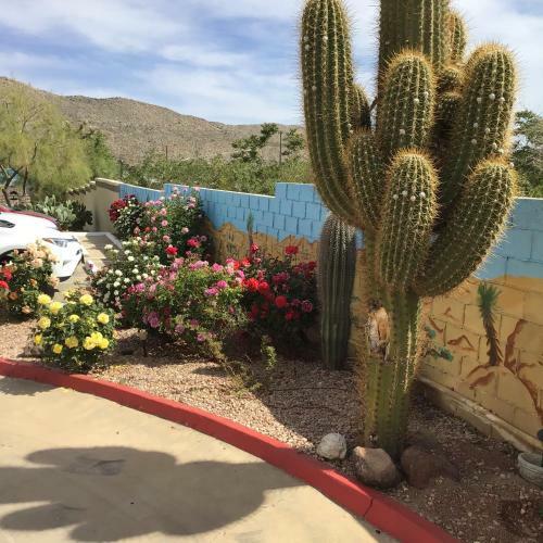 Motel Americas Best Value Inn And Suites -yucca Valley
