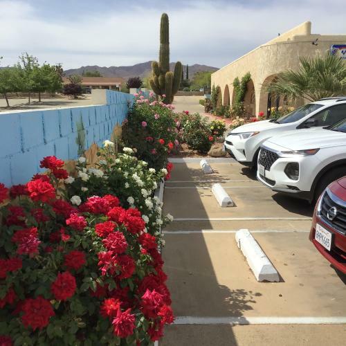 Motel Americas Best Value Inn And Suites -yucca Valley