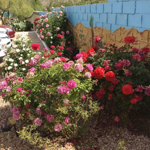 Motel Americas Best Value Inn And Suites -yucca Valley