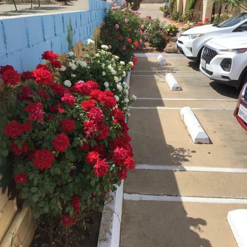 Motel Americas Best Value Inn And Suites -yucca Valley