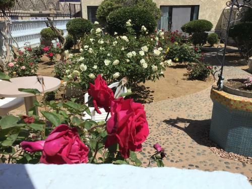 Motel Americas Best Value Inn And Suites -yucca Valley