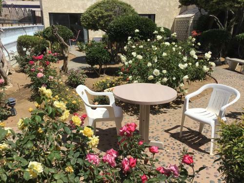 Motel Americas Best Value Inn And Suites -yucca Valley