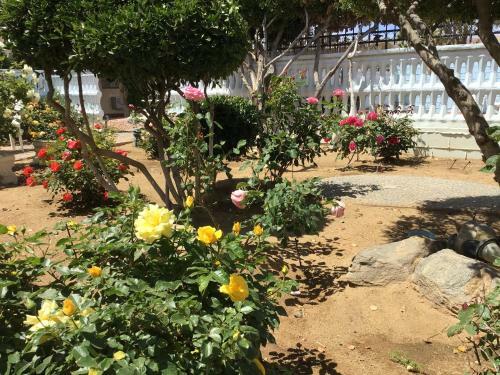 Motel Americas Best Value Inn And Suites -yucca Valley