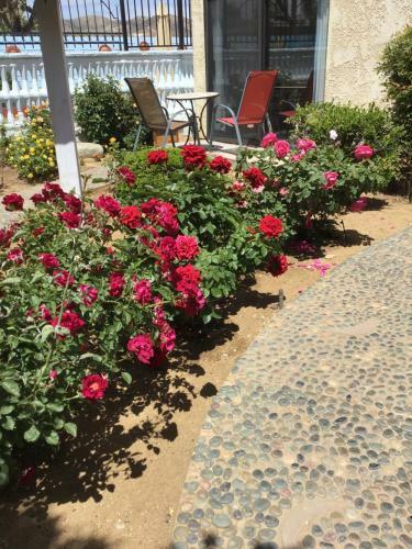 Motel Americas Best Value Inn And Suites -yucca Valley