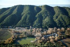 Hotel Sycamore Mineral Springs