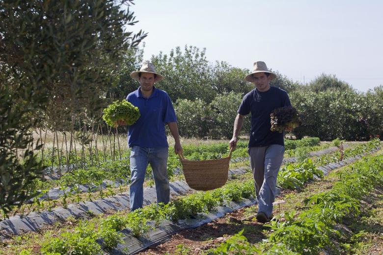 Agroturismo Sa Carrotja - Adults Only