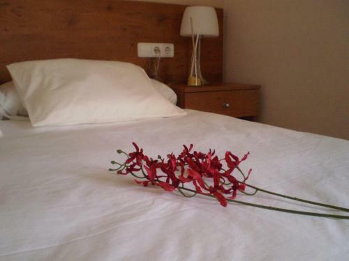 Archs Hotel Rural